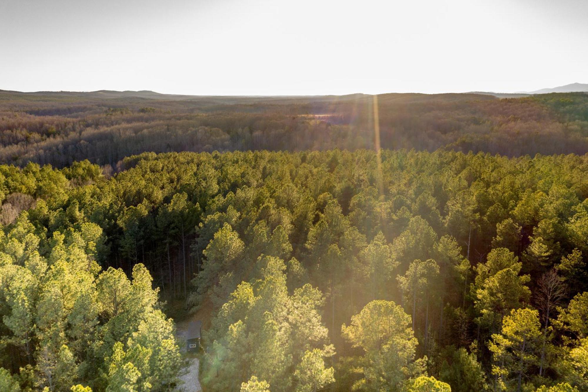 Pine Creek Tiny House Villa Amherst Eksteriør bilde