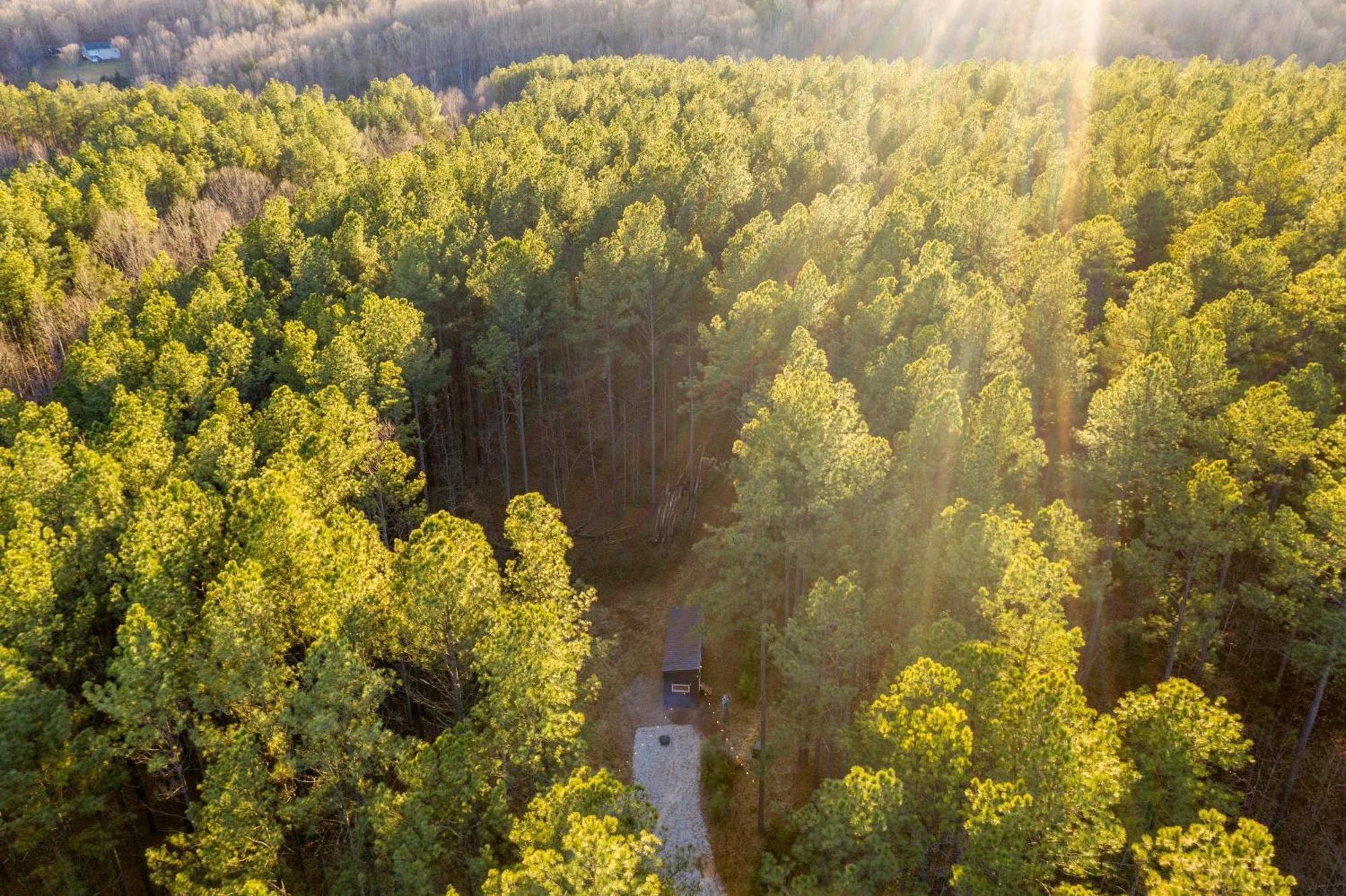 Pine Creek Tiny House Villa Amherst Eksteriør bilde